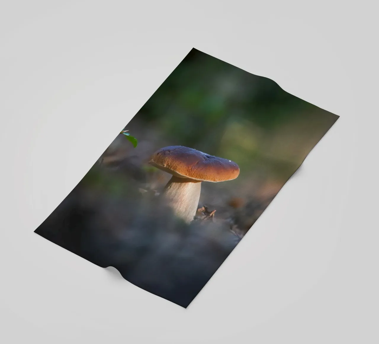 Autumn funghi telo mare da Tom's Wildlife