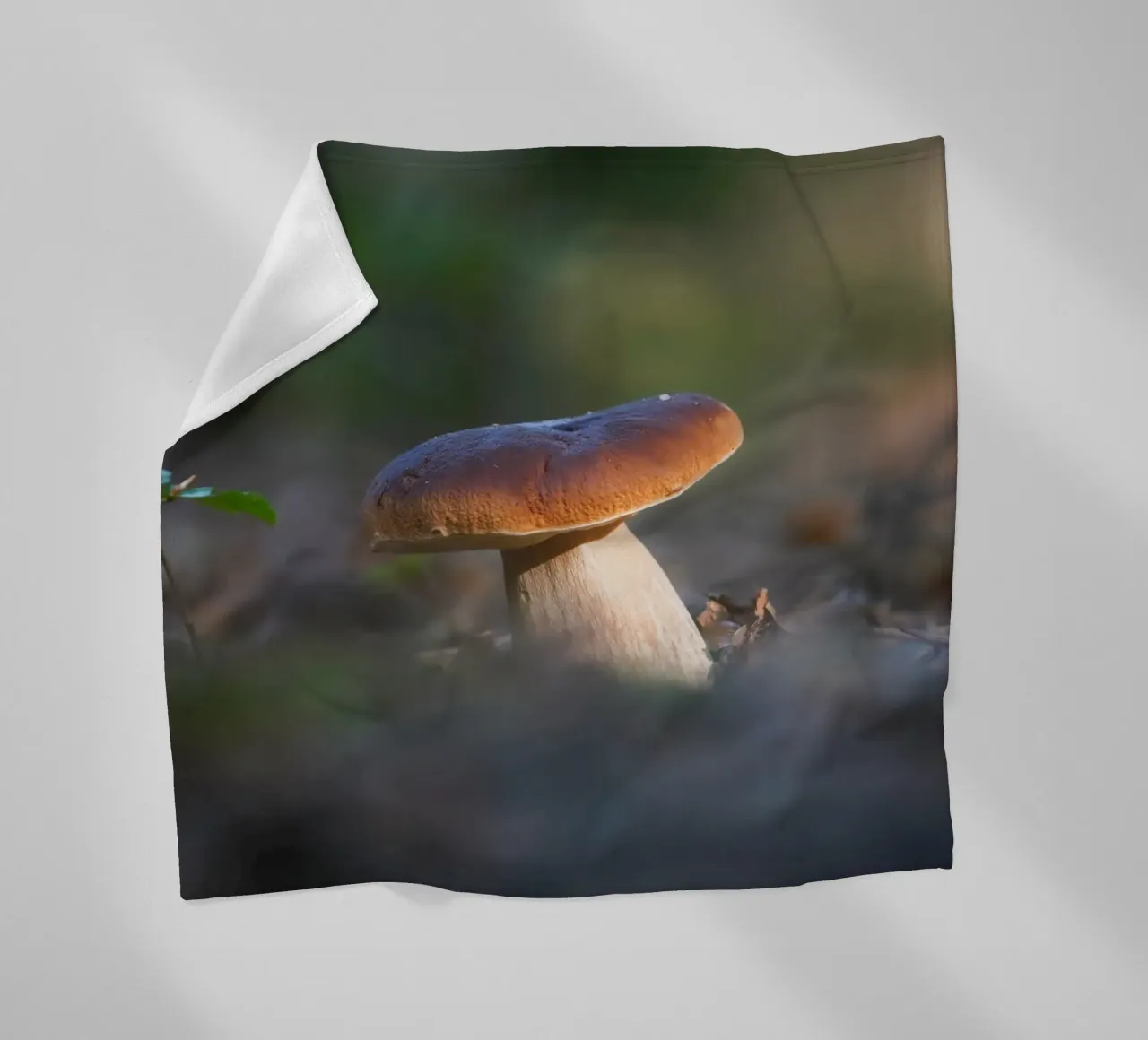 Autumn funghi coperta in pile da Tom's Wildlife
