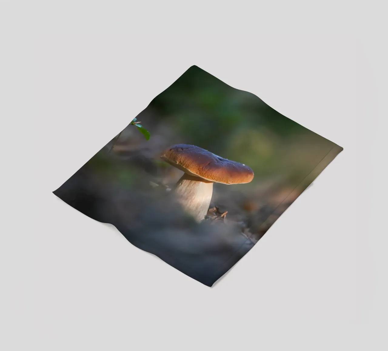 Autumn funghi coperta in pile da Tom's Wildlife