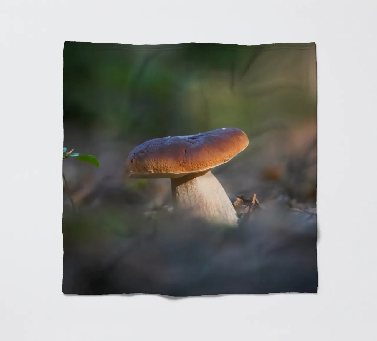 Autumn funghi coperta in pile da Tom's Wildlife