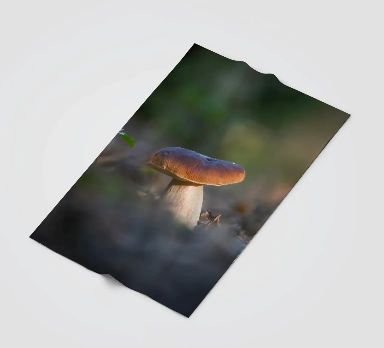 Autumn funghi coperta in pile da Tom's Wildlife