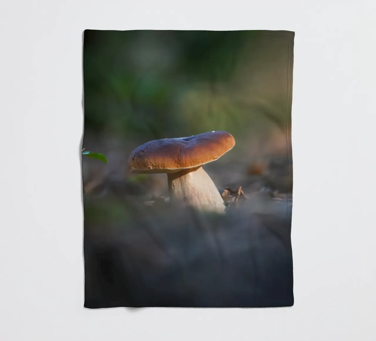 Autumn funghi coperta in pile da Tom's Wildlife