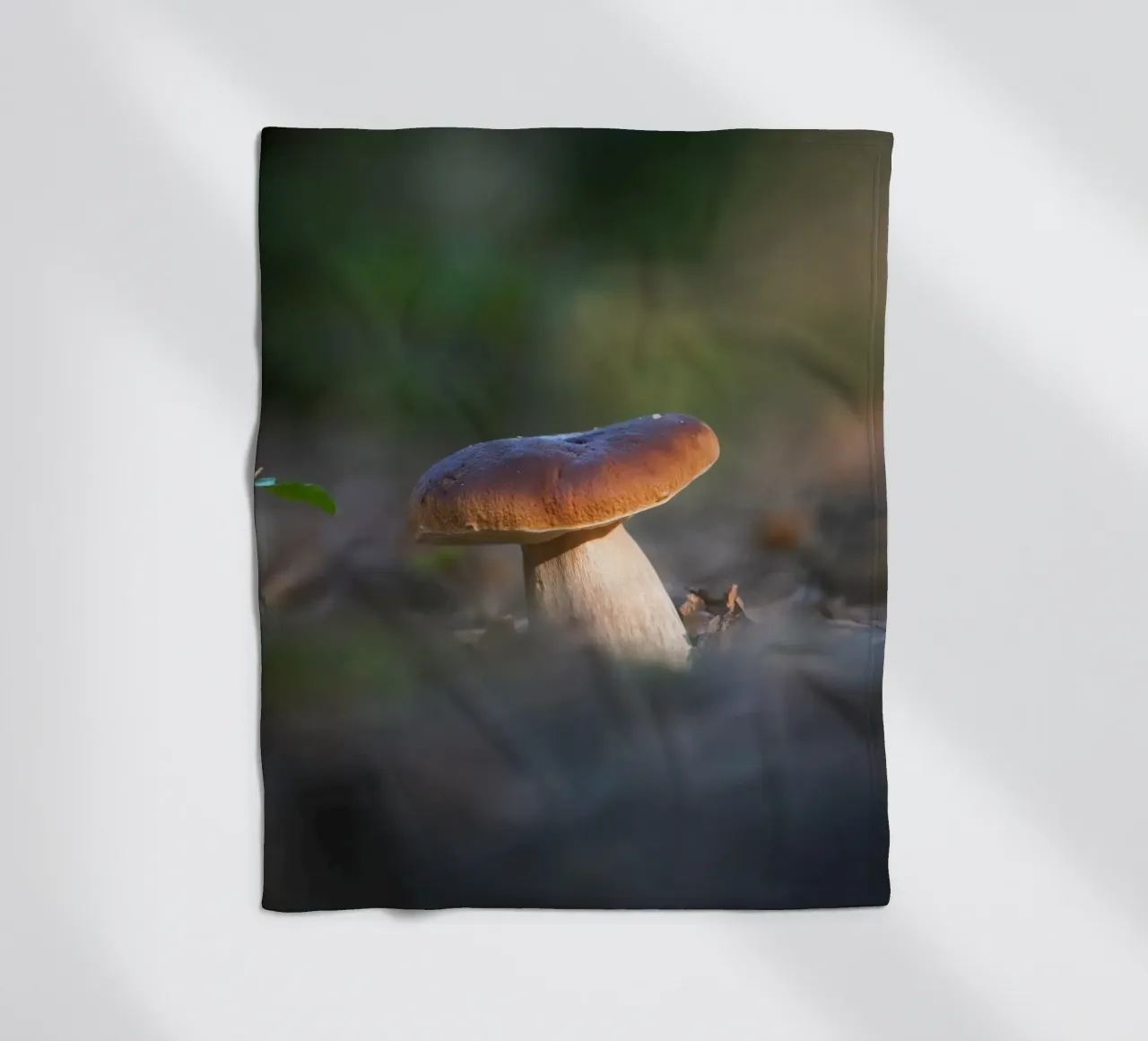 Autumn funghi coperta in pile da Tom's Wildlife