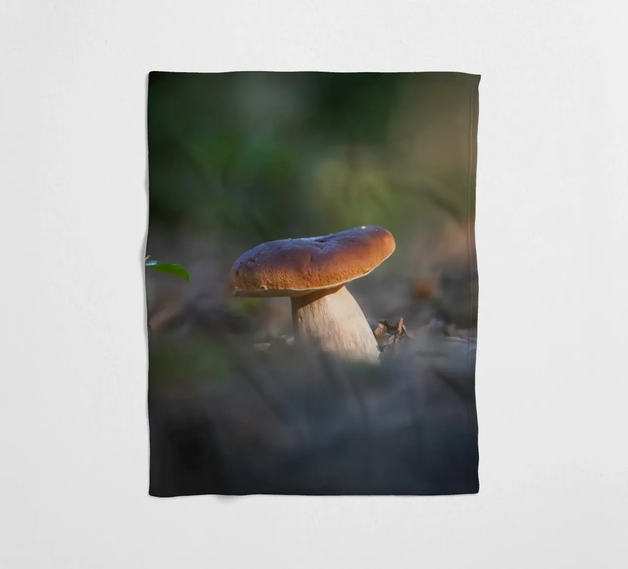 Autumn funghi coperta in pile da Tom's Wildlife