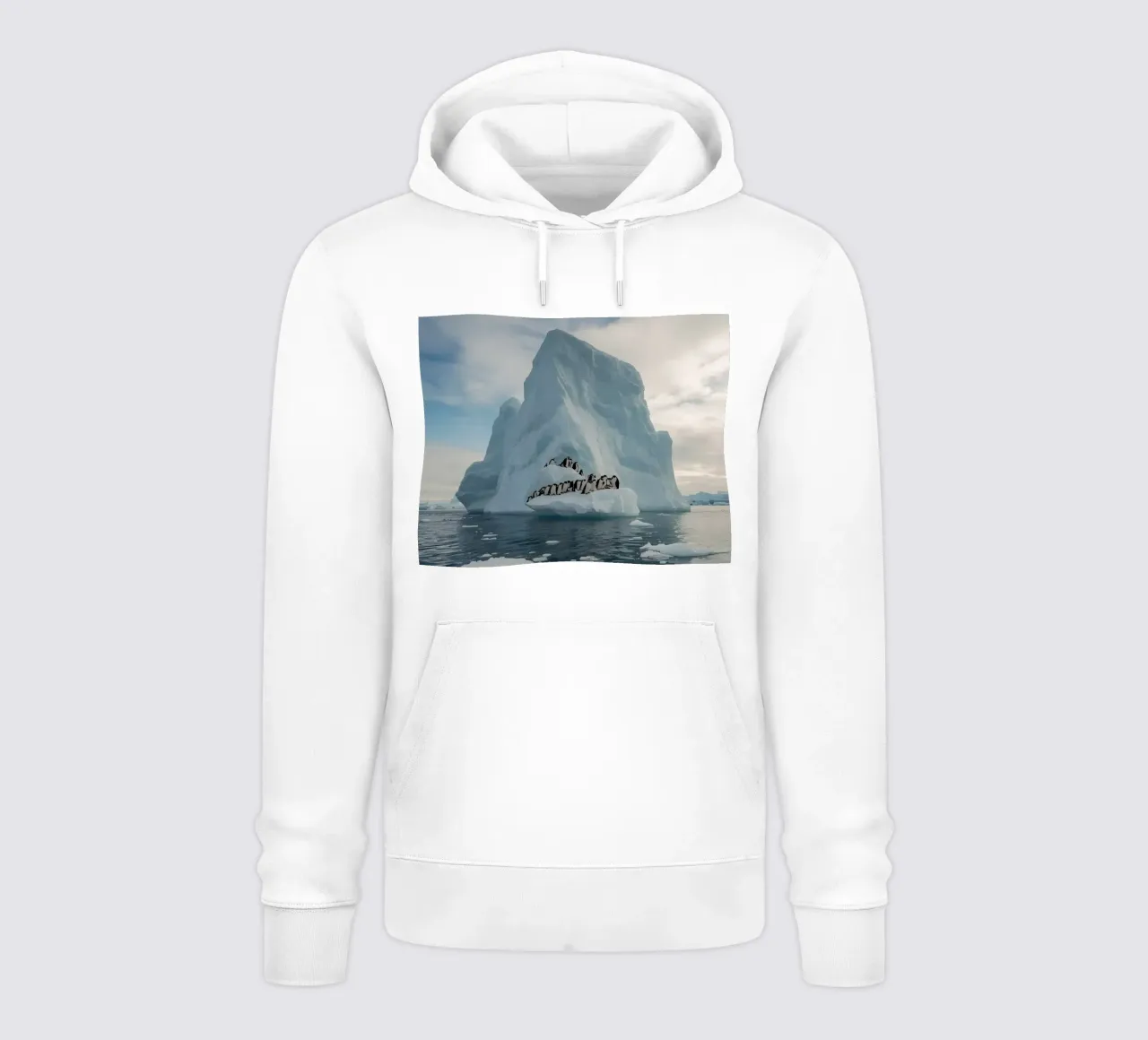 Pinguini su un iceberg in acque fredde felpa con cappuccio da DesignDoodle