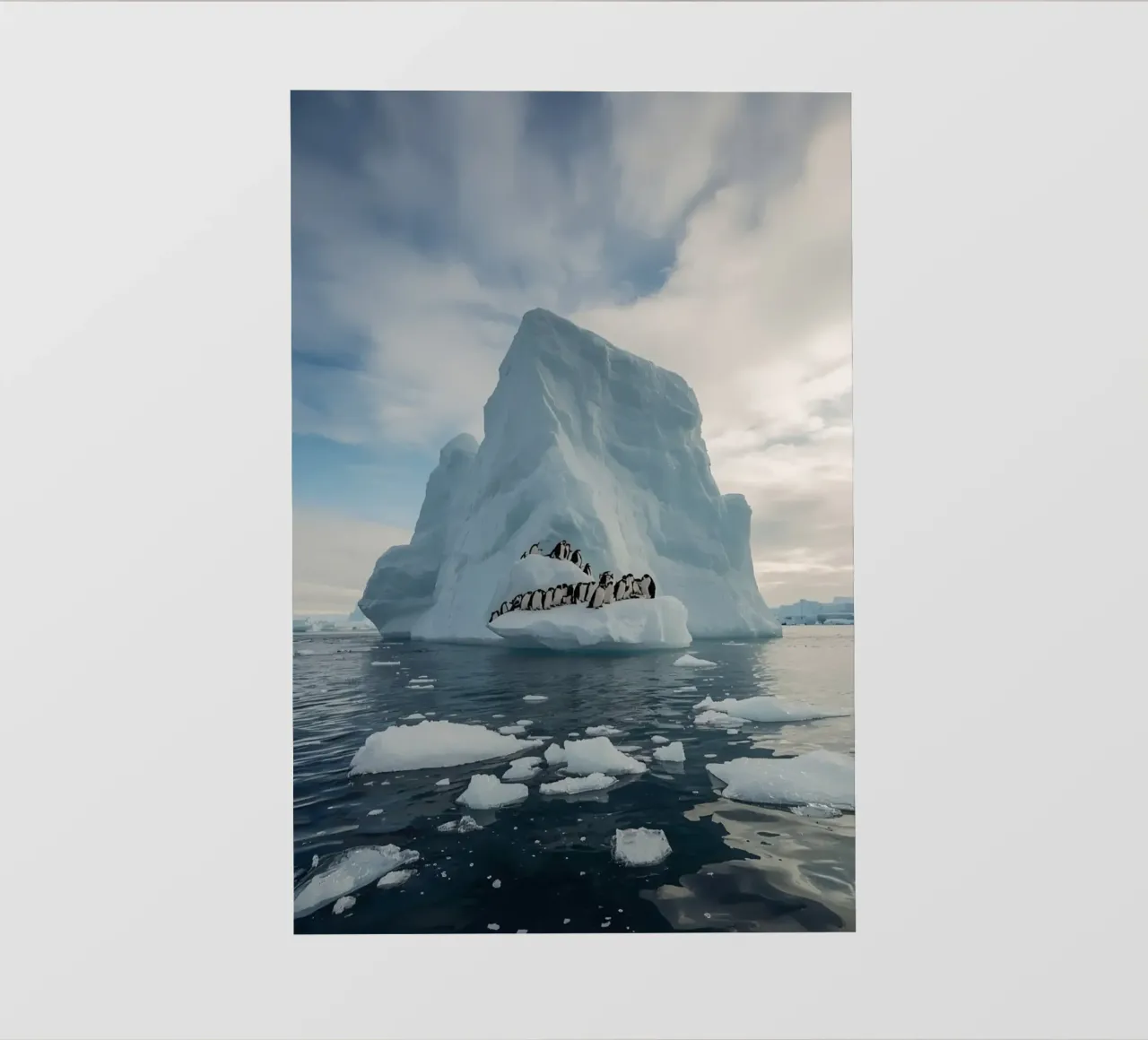 Pinguini su un iceberg in acque fredde telo in pvc da DesignDoodle