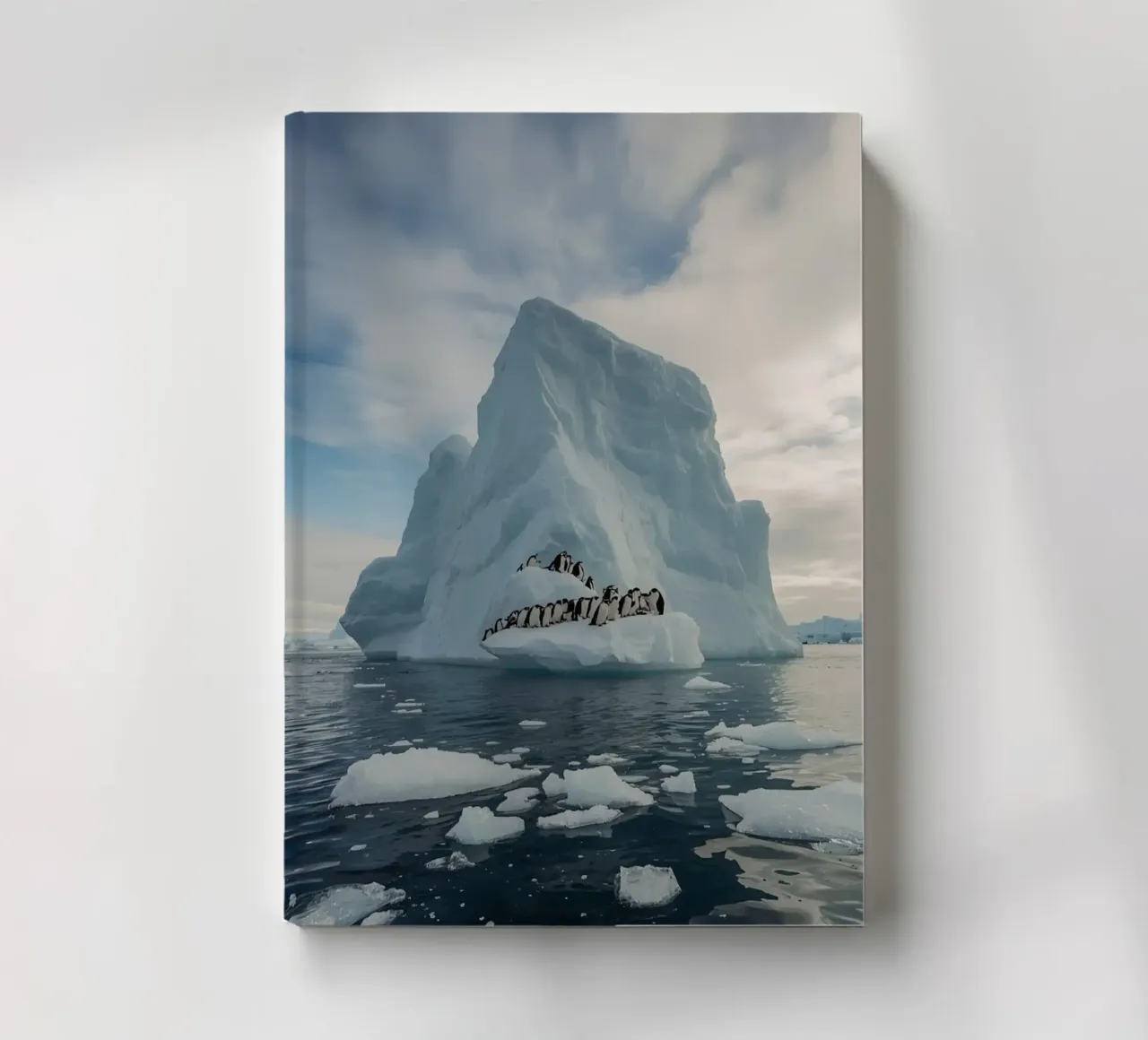 Pinguini su un iceberg in acque fredde diario da DesignDoodle