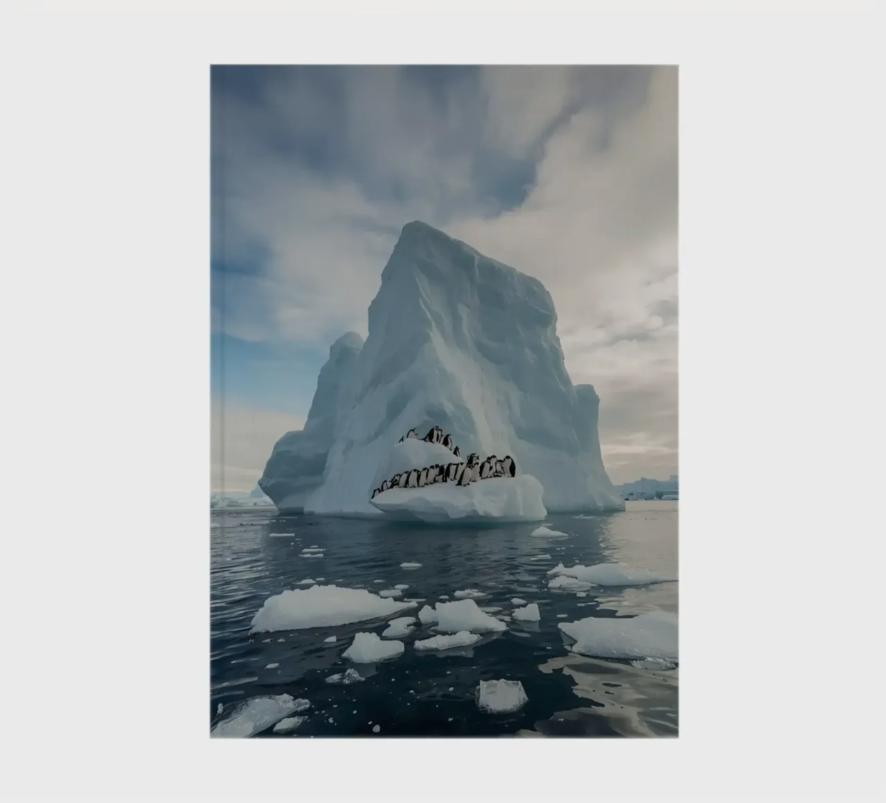 Pinguini su un iceberg in acque fredde diario da DesignDoodle