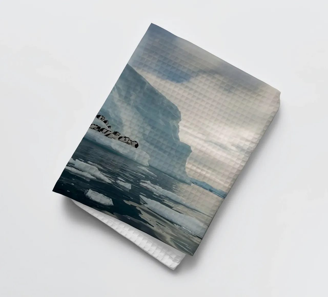 Pinguini su un iceberg in acque fredde canovaccio da cucina da DesignDoodle