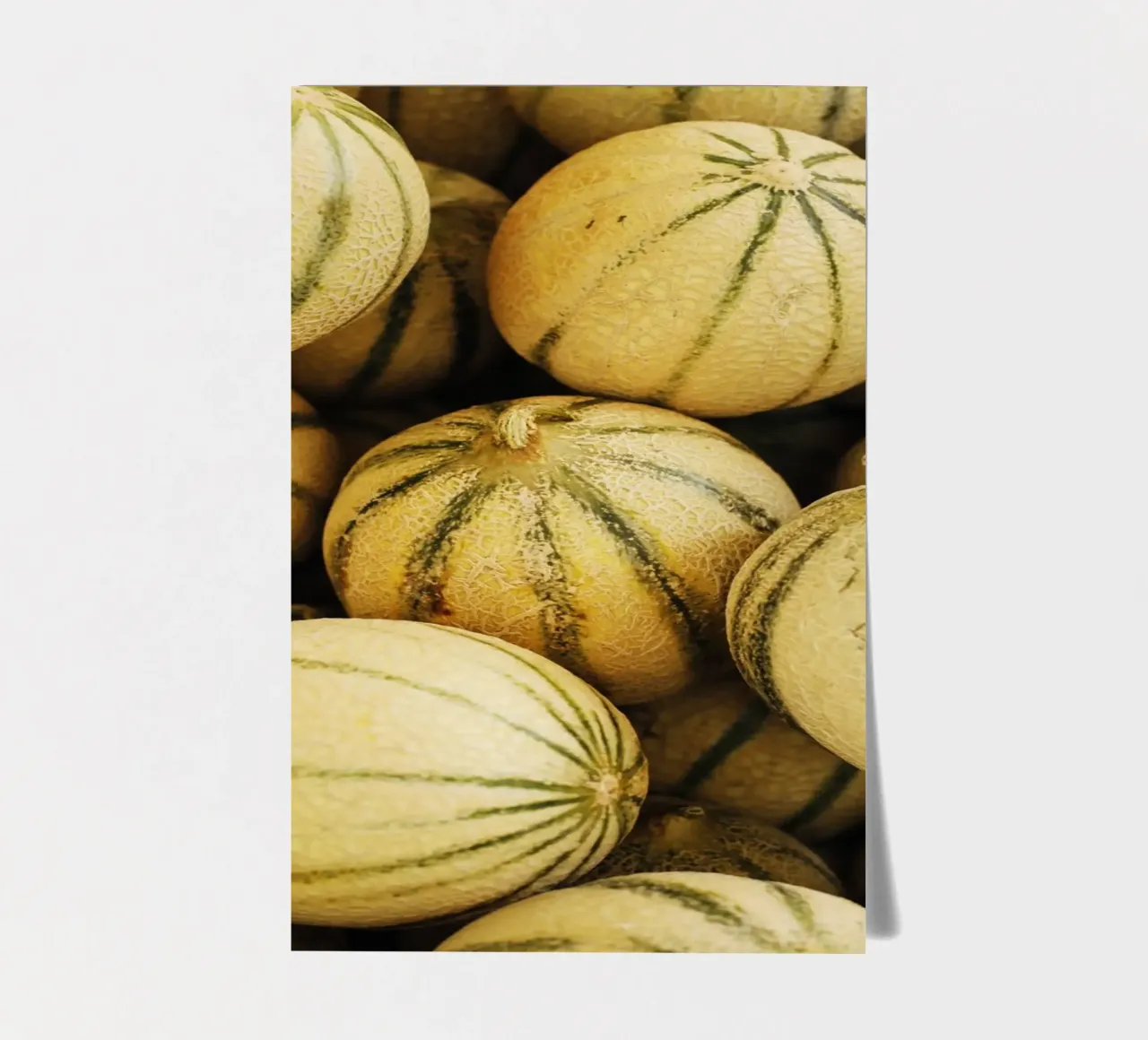 Honig - Melonen in languedoc-roussillon (Frankreich) Stickerbogen von Simon Koy
