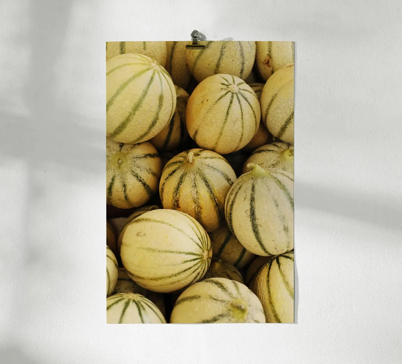 Miele - Meloni in languedoc-roussillon (Francia) carta hahnemühle da Simon Koy