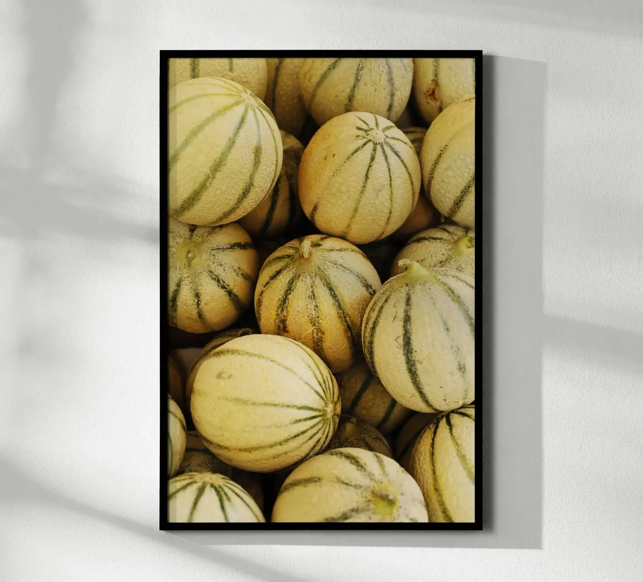Miele - Meloni in languedoc-roussillon (Francia) carta hahnemühle da Simon Koy