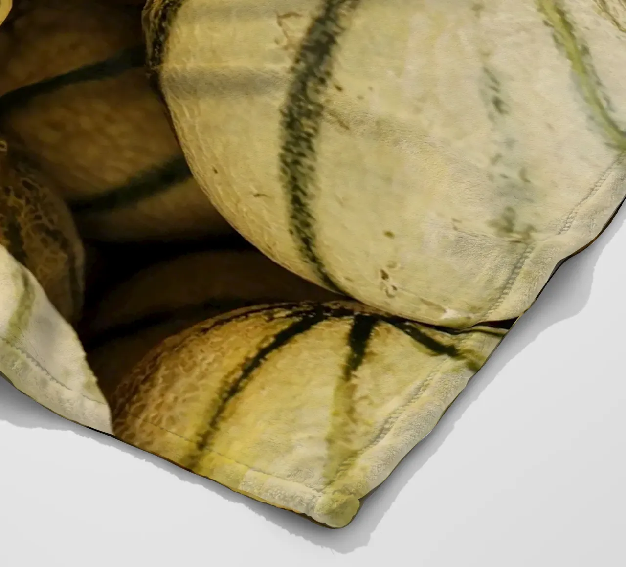 Honig - Melonen in languedoc-roussillon (Frankreich) Fleecedecke von Simon Koy