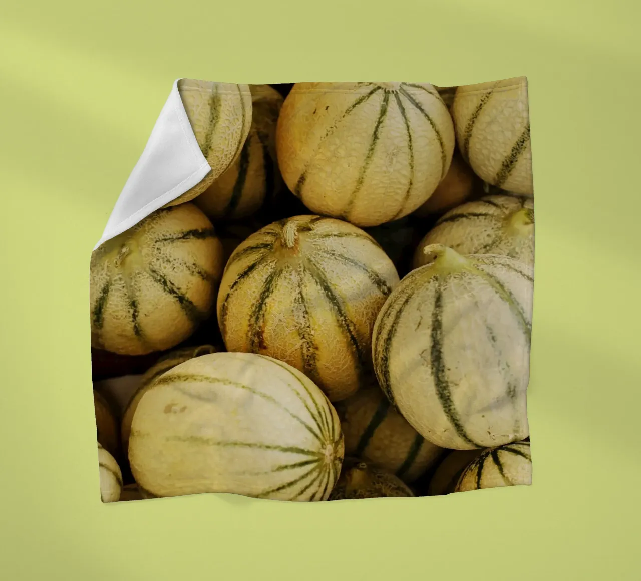 Honig - Melonen in languedoc-roussillon (Frankreich) Fleecedecke von Simon Koy