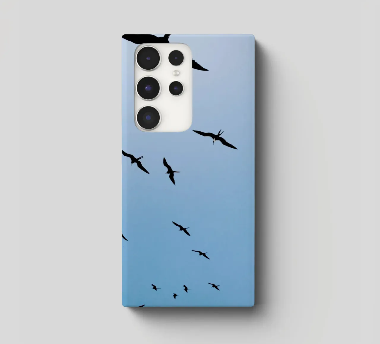 Les mouettes au Pérou (Al Nuro) coque samsung de fotokunst