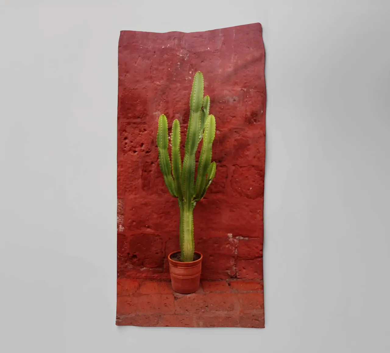 Kaktus in Perù (Arequipa) asciugamano da bagno da Simon Koy