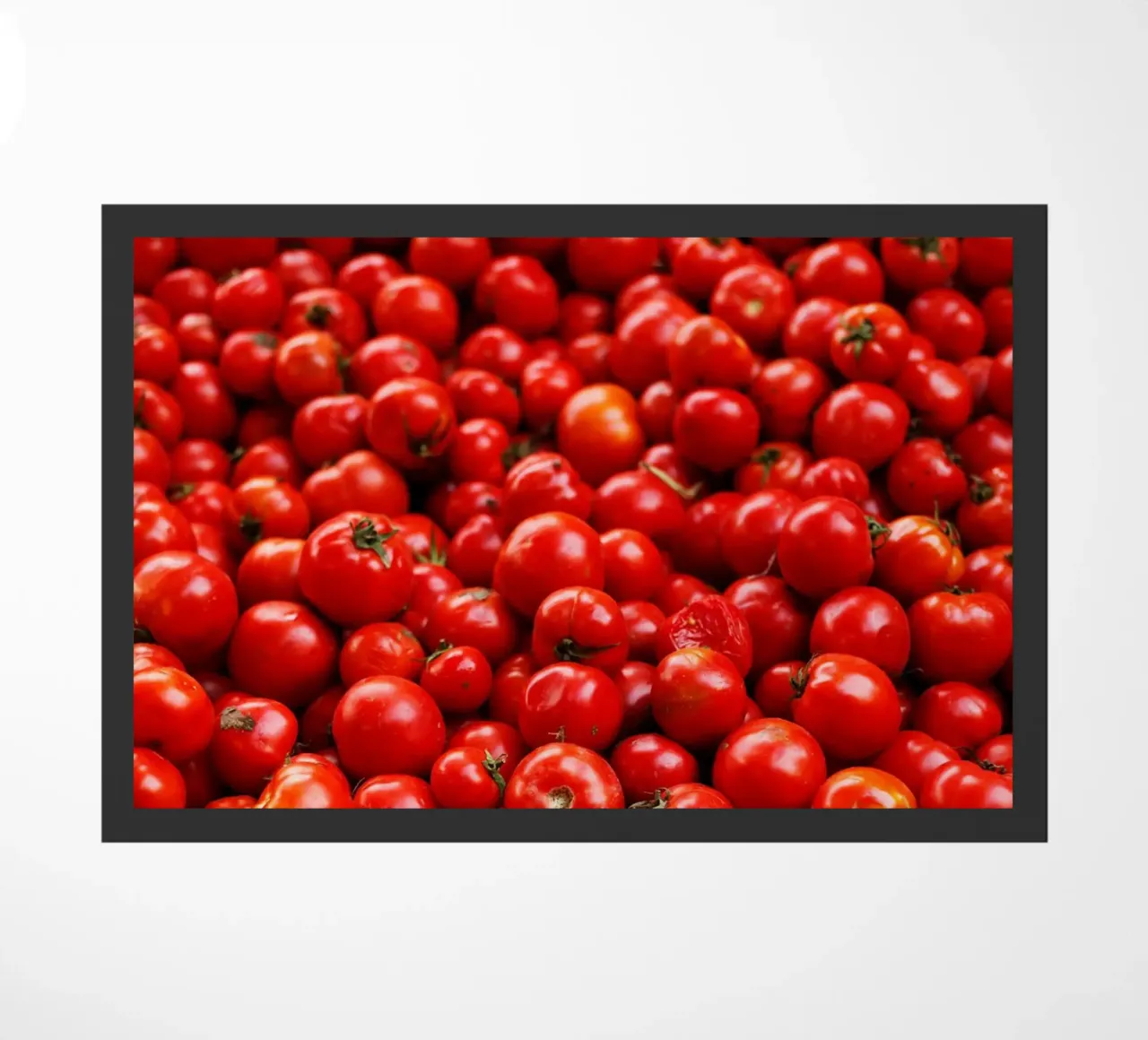 Pomodori al Cairo (Egitto) zerbino da Simon Koy
