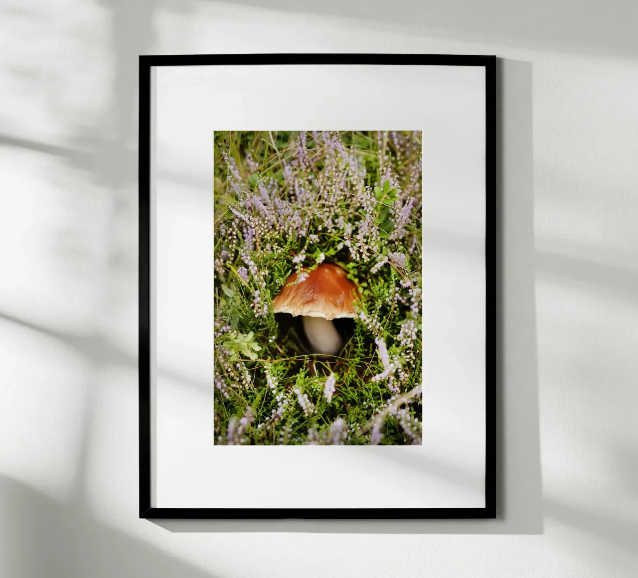 Funghi in Tirolo (Austria) carta hahnemühle da Simon Koy