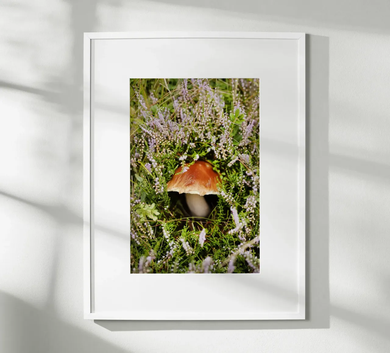 Funghi in Tirolo (Austria) carta hahnemühle da Simon Koy