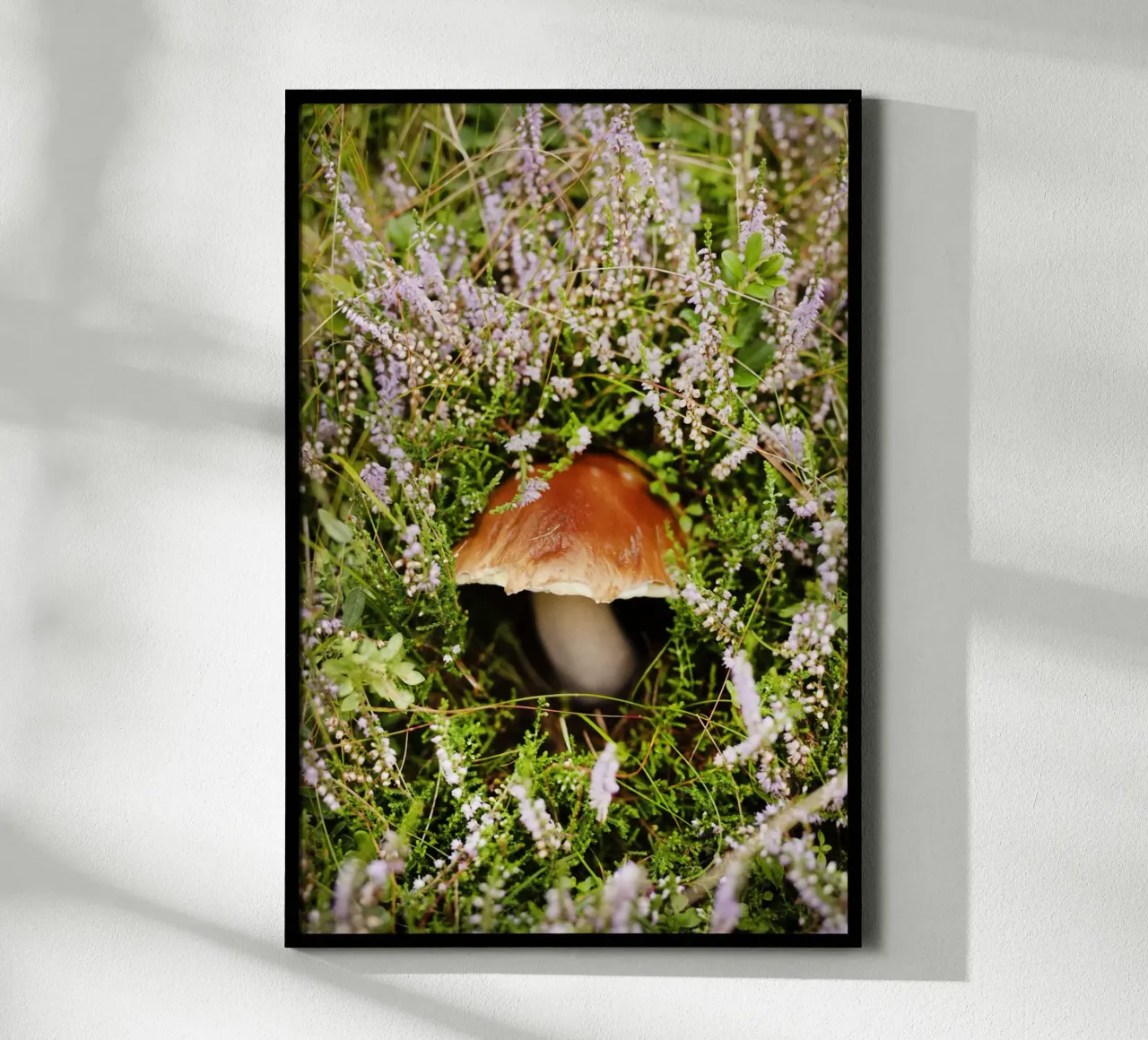 Funghi in Tirolo (Austria) carta hahnemühle da Simon Koy