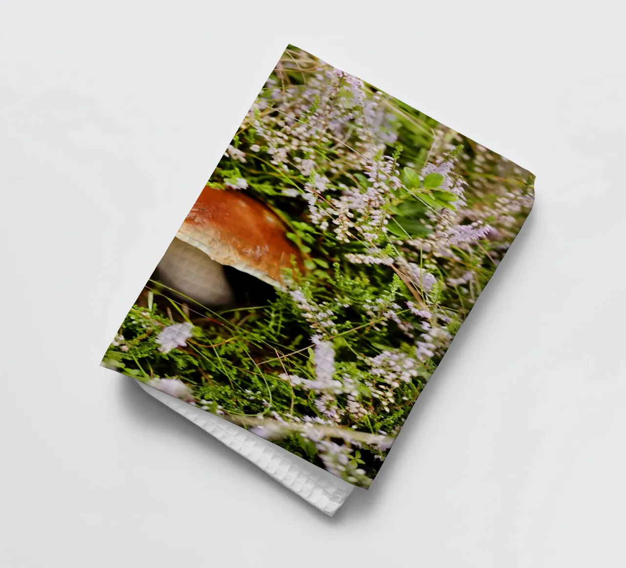 Pilz in Tirol (Österreich) Geschirrtuch von fotokunst