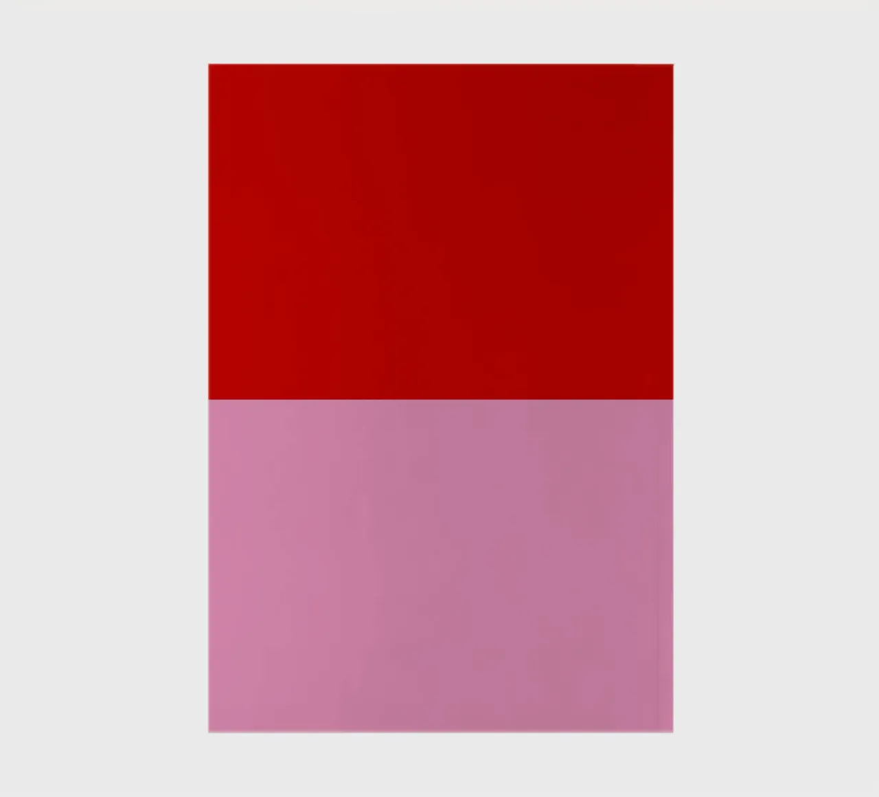 Hohoho Color Block Rot Pink diario da Sophie Augustin Illustration