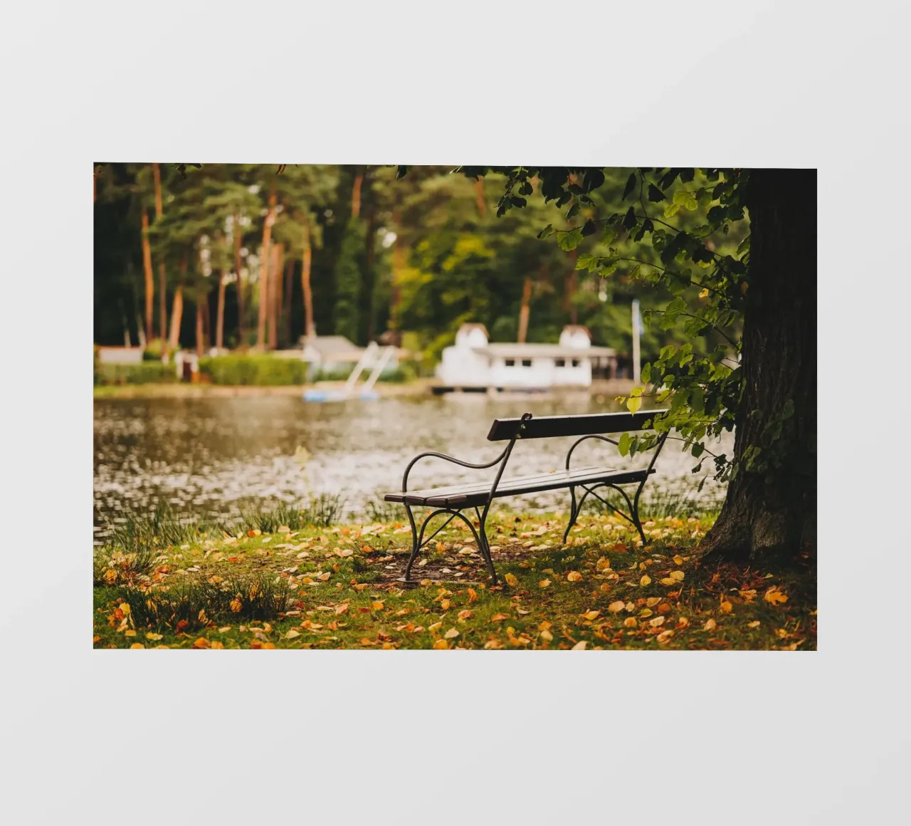 Banc dans un paysage automnal au bord d'un lac de forêt bâche pvc de Bold and Retro