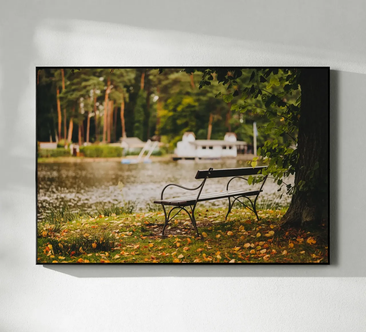 Banc dans un paysage automnal au bord d'un lac de forêt plexiglas de Bold and Retro