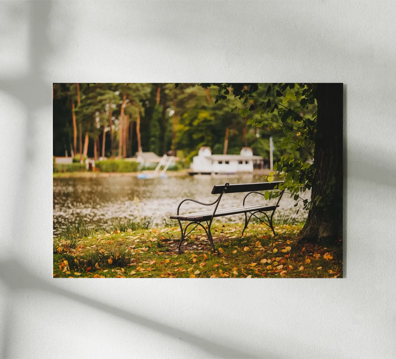 Banc dans un paysage automnal au bord d'un lac de forêt plexiglas de Bold and Retro