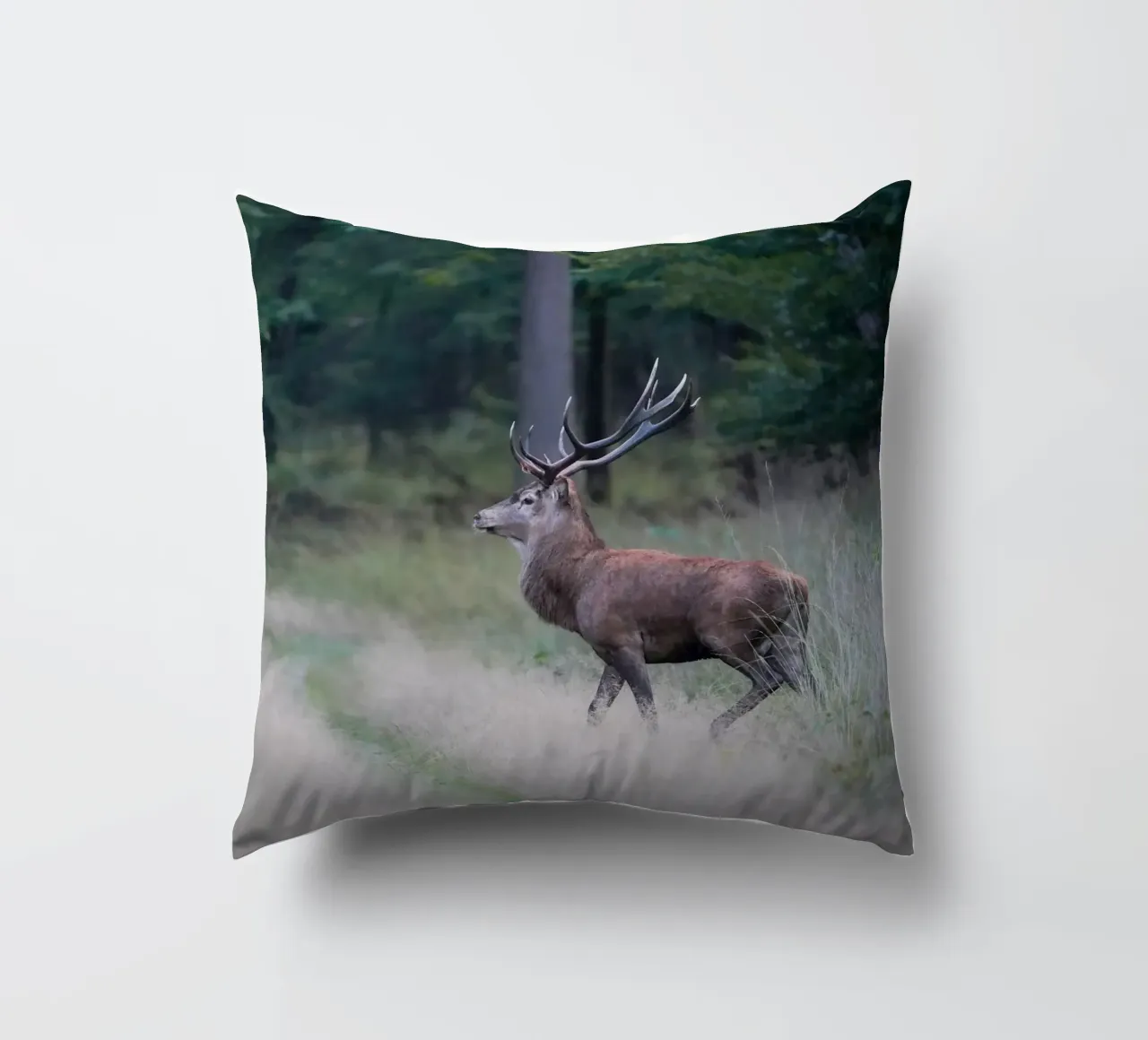 Cervo rosso cuscino da Tom's Wildlife