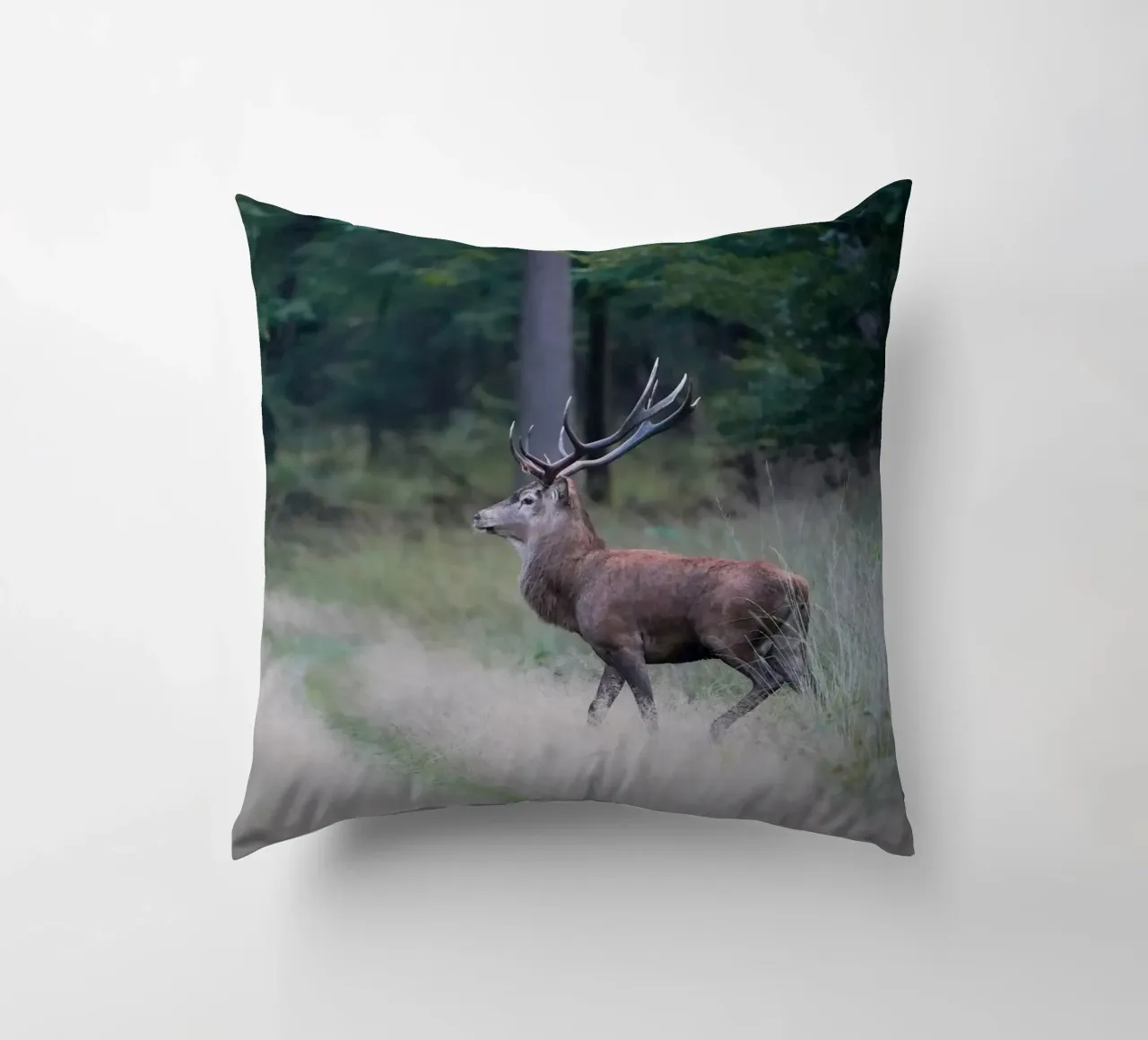 Cervo rosso cuscino da Tom's Wildlife