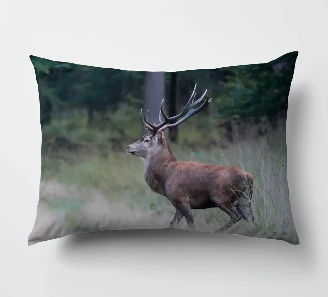 Cervo rosso cuscino da Tom's Wildlife