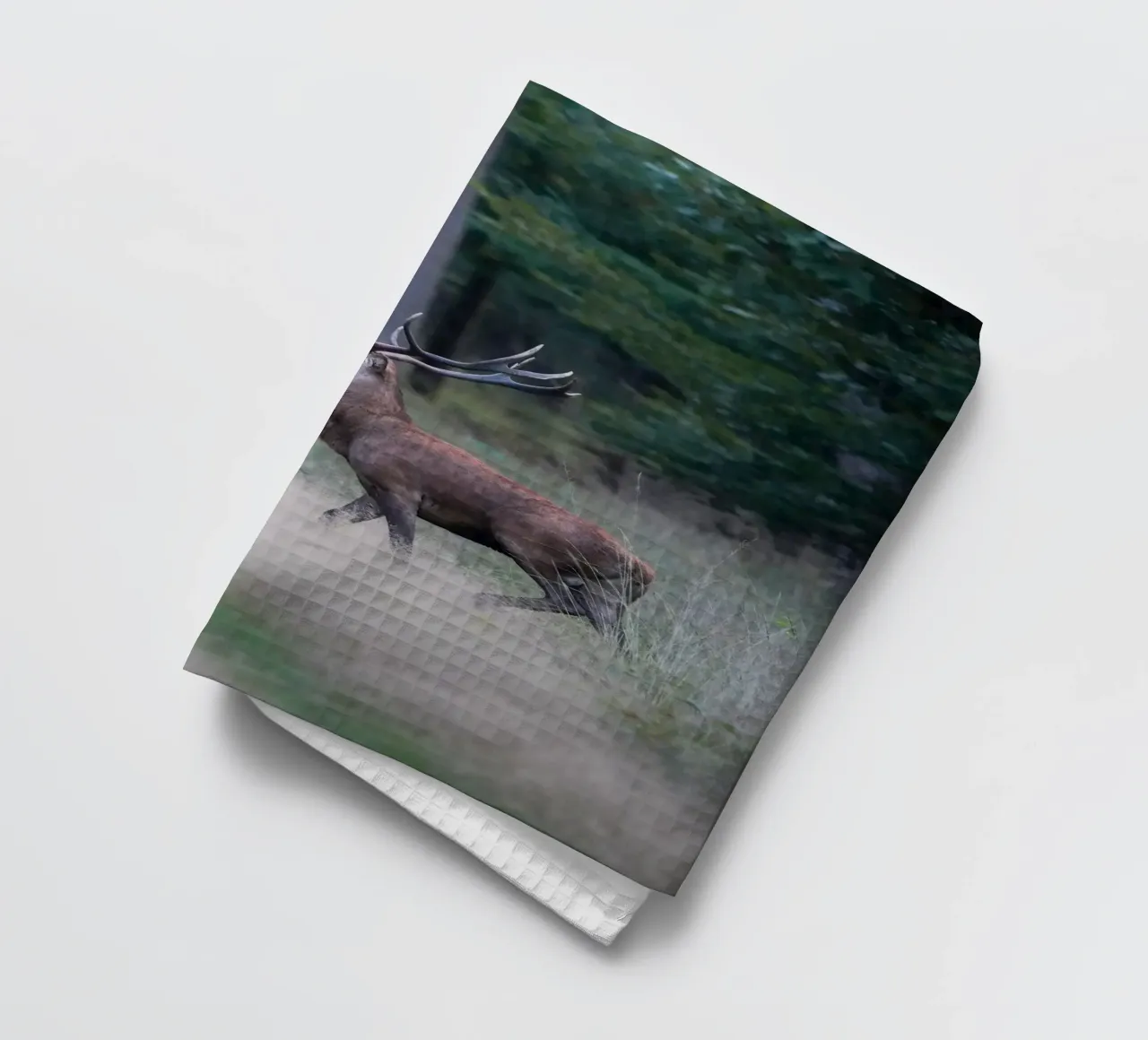 Cervo rosso canovaccio da cucina da Tom's Wildlife