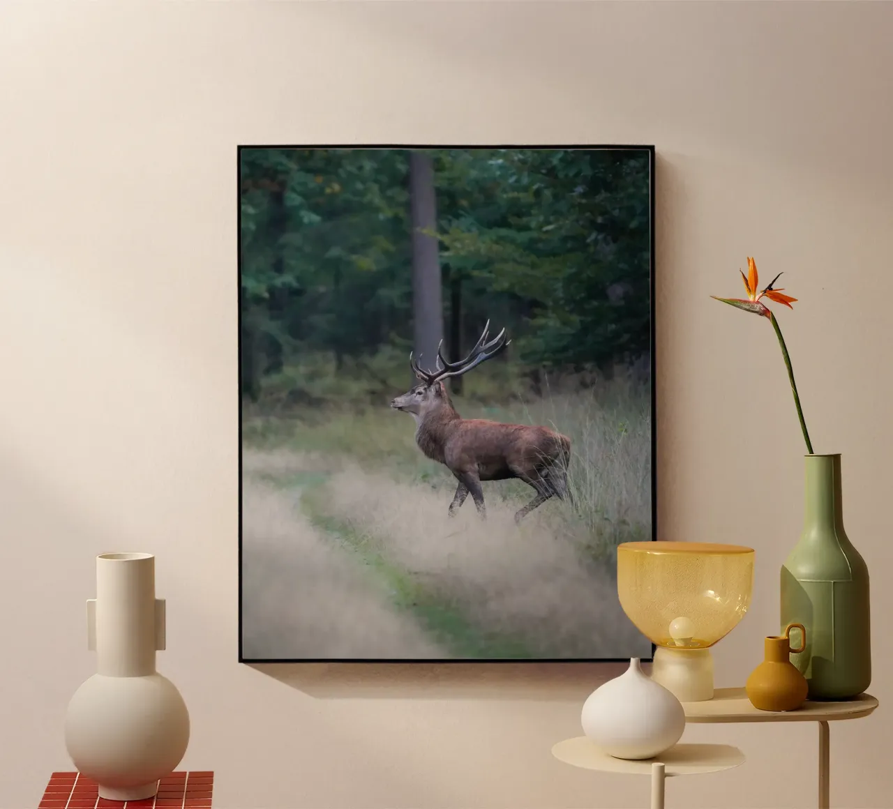 Cervo rosso plexiglass da Tom's Wildlife