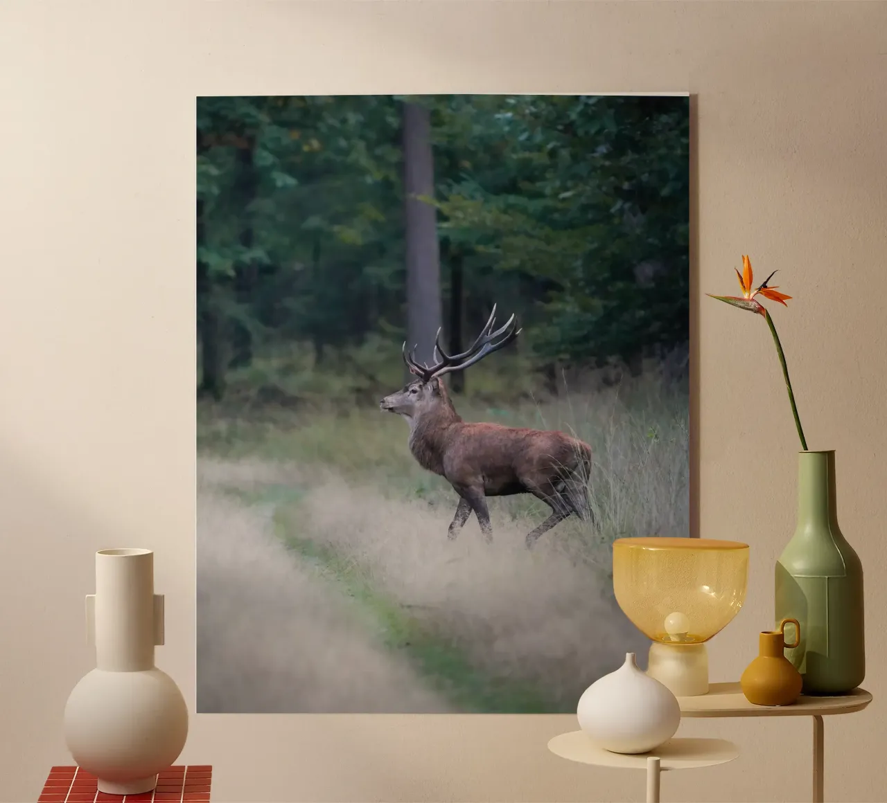 Cervo rosso plexiglass da Tom's Wildlife