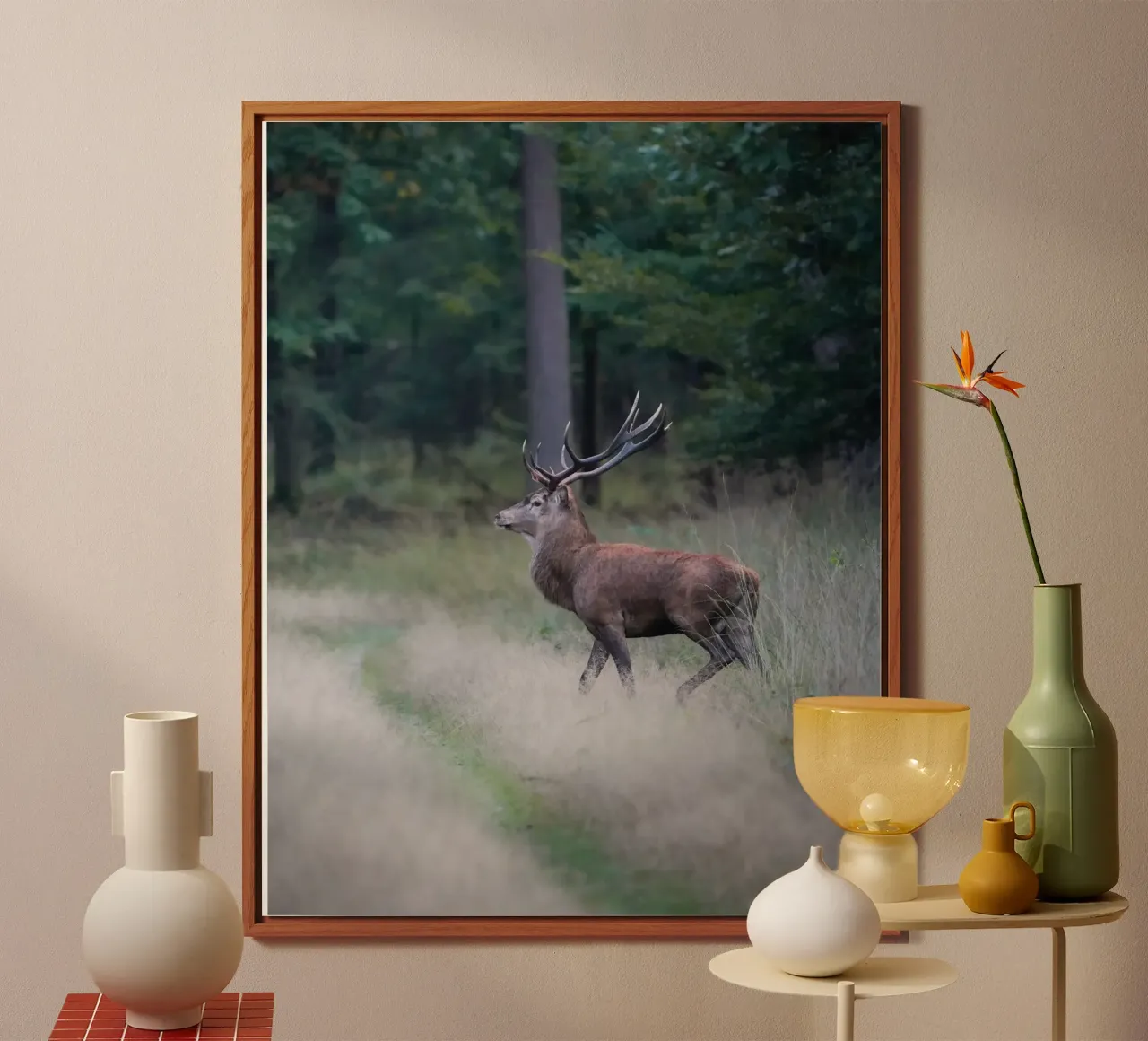 Cervo rosso alluminio dibond da Tom's Wildlife
