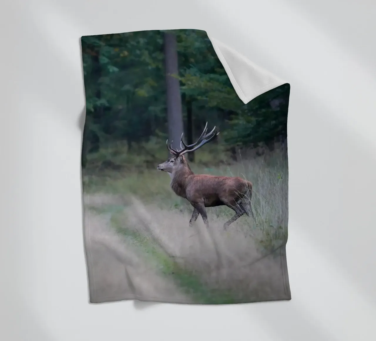 Cervo rosso coperta in pile da Tom's Wildlife