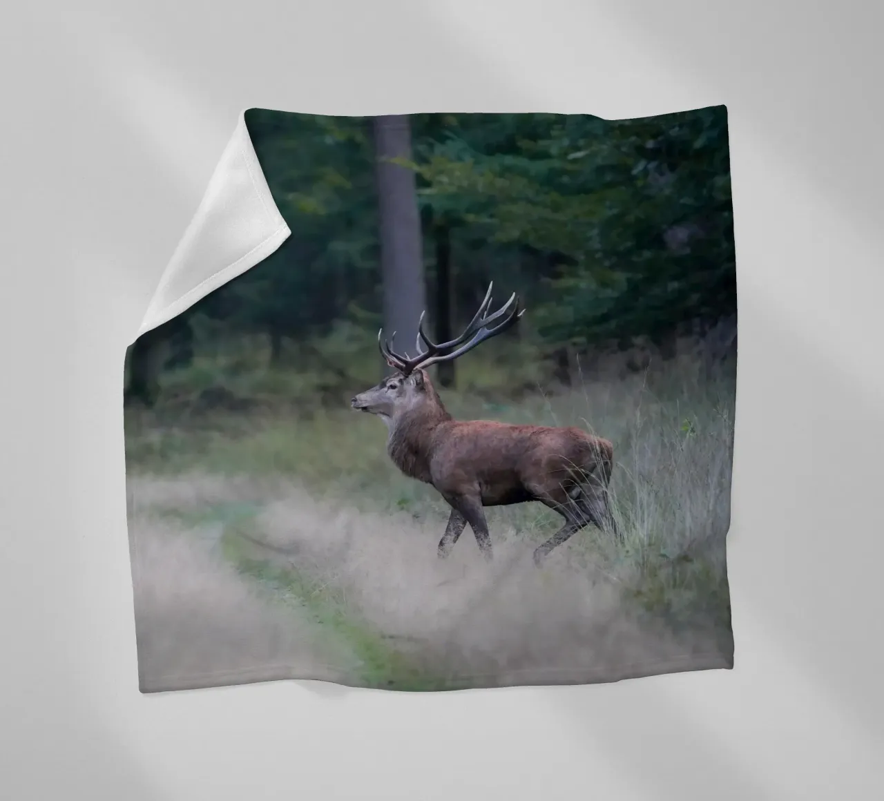 Cervo rosso coperta in pile da Tom's Wildlife