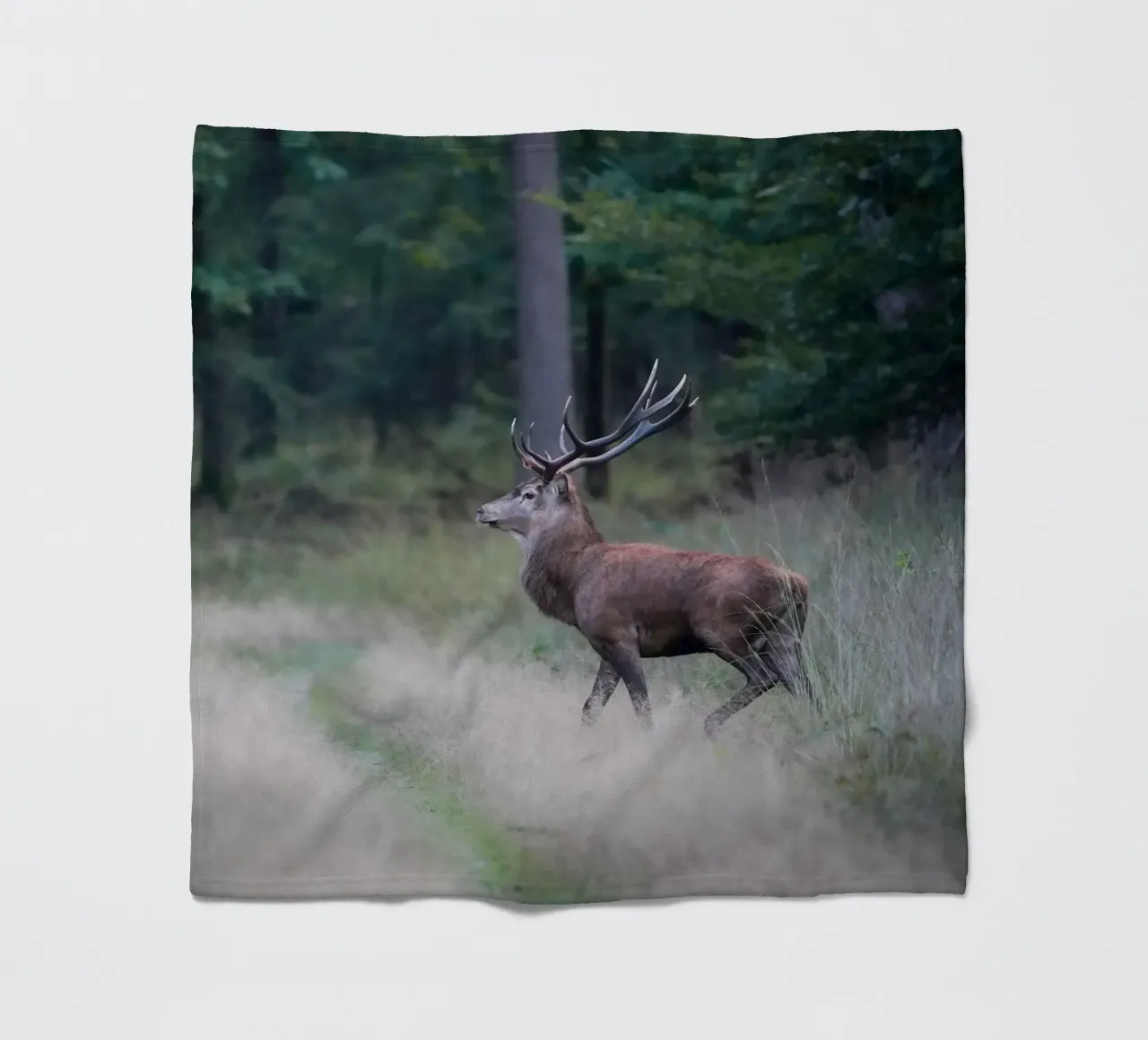 Cervo rosso coperta in pile da Tom's Wildlife