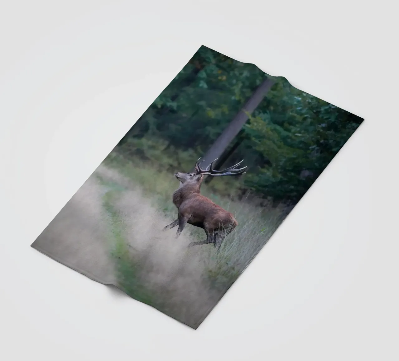 Cervo rosso coperta in pile da Tom's Wildlife