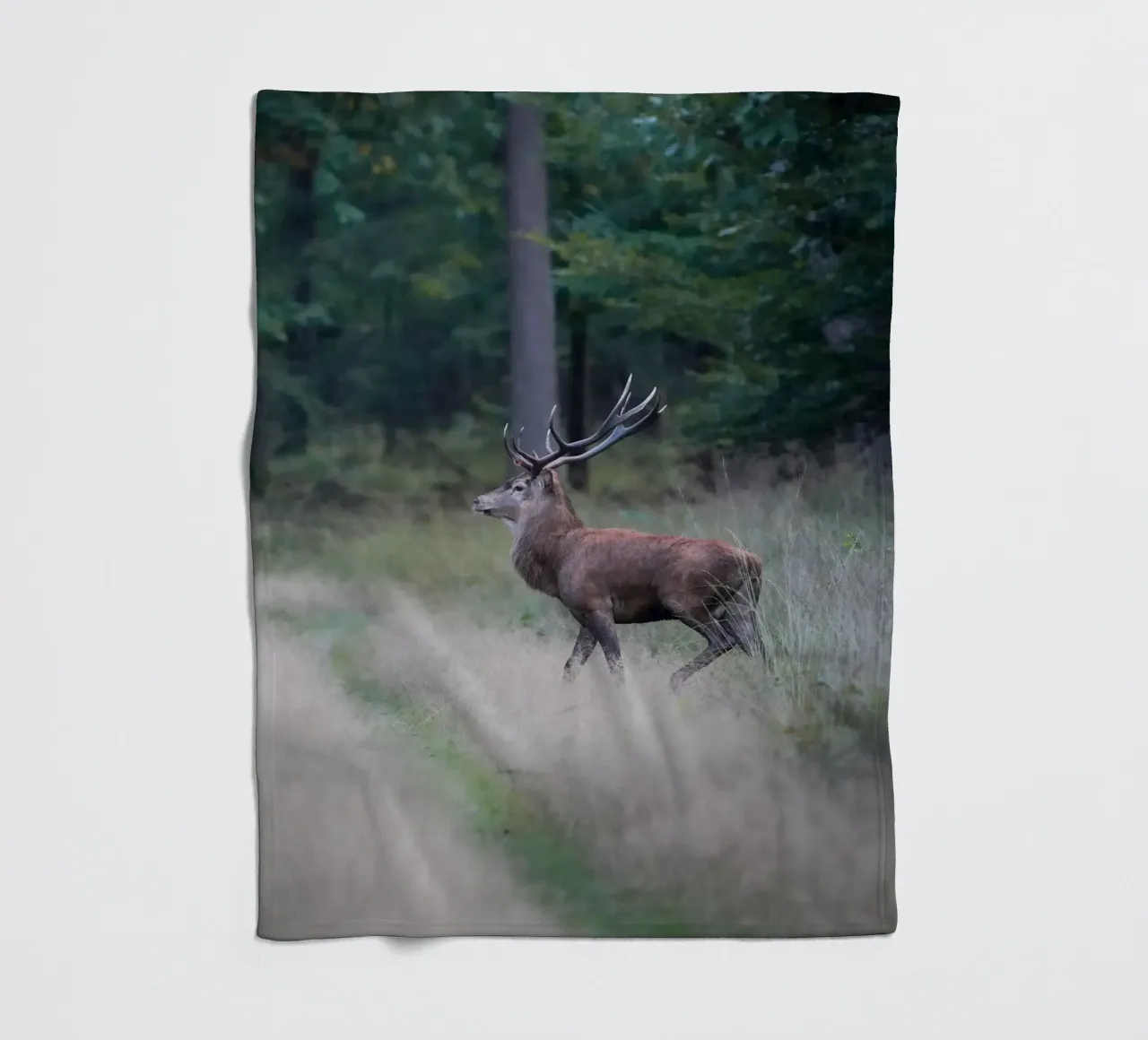 Cervo rosso coperta in pile da Tom's Wildlife