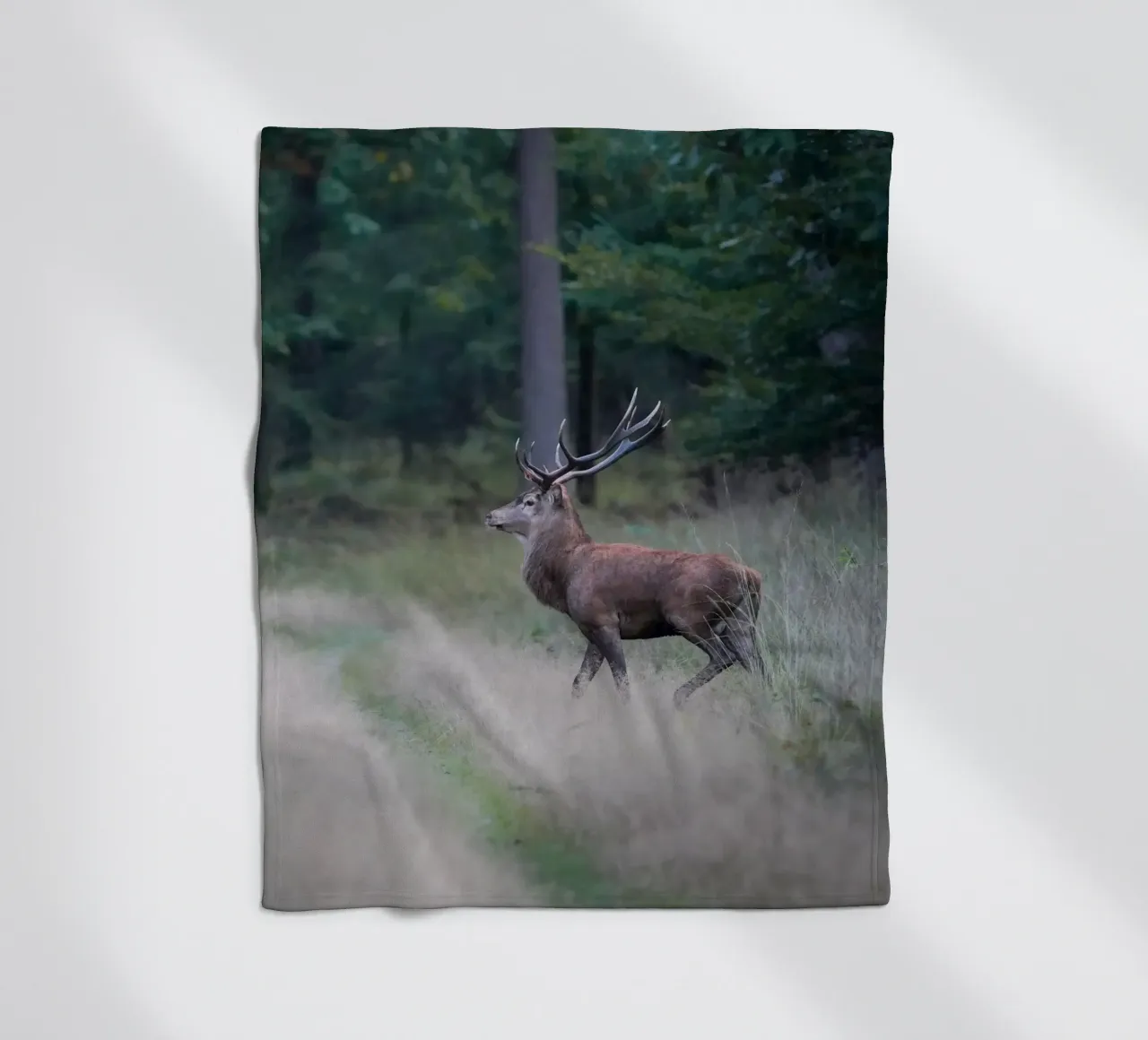 Cervo rosso coperta in pile da Tom's Wildlife