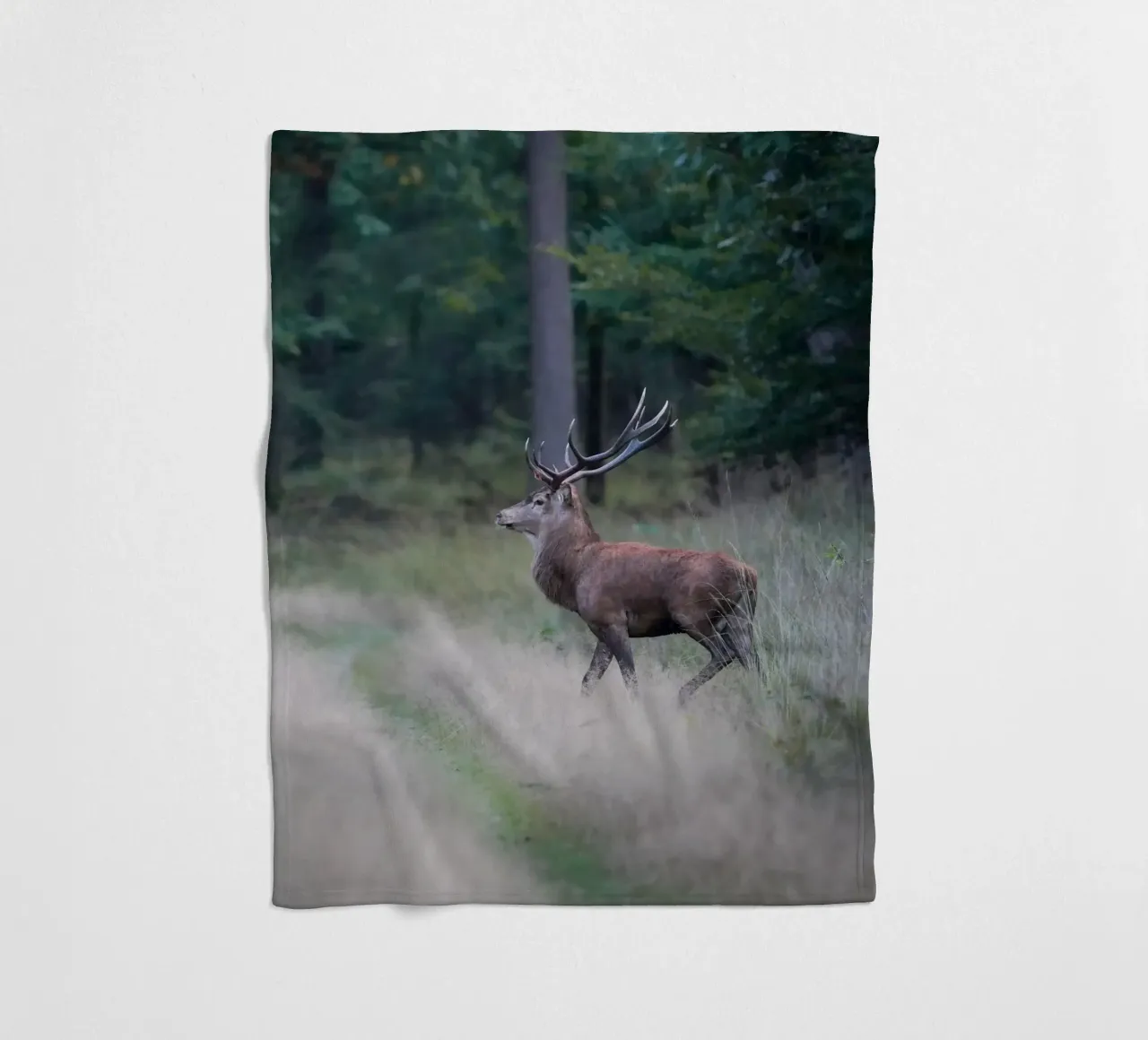 Cervo rosso coperta in pile da Tom's Wildlife