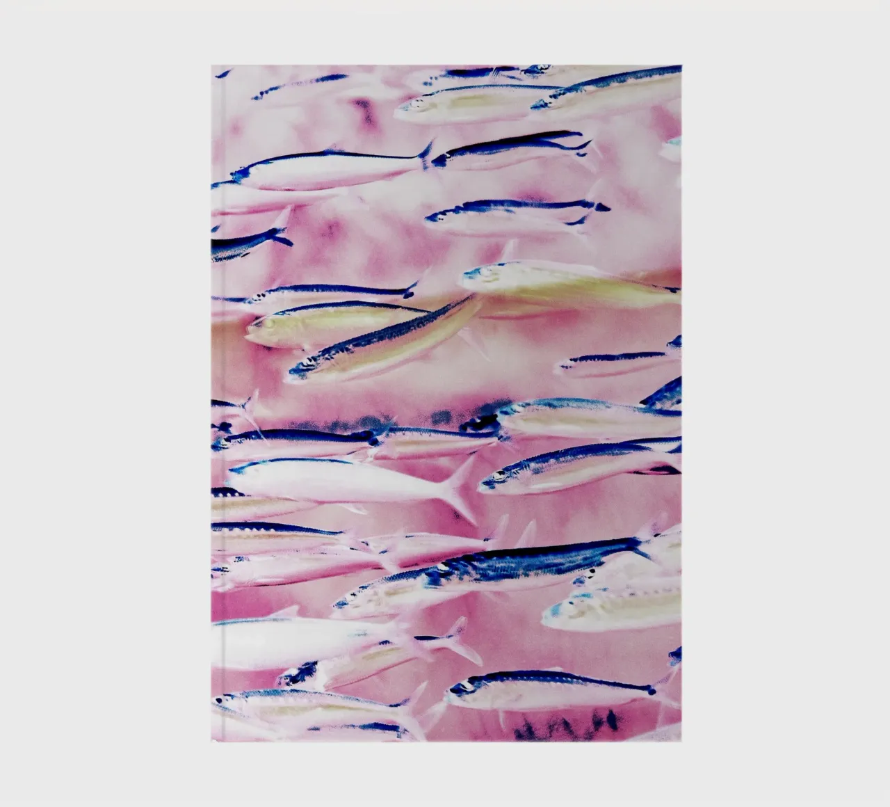 Marked Coast notebook by 83oranges