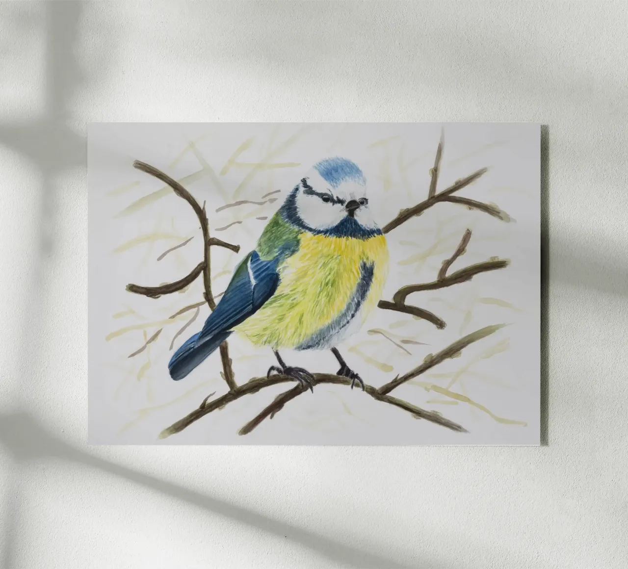 Cinciarella blu plexiglass da Barbara Buderath Illustrationen