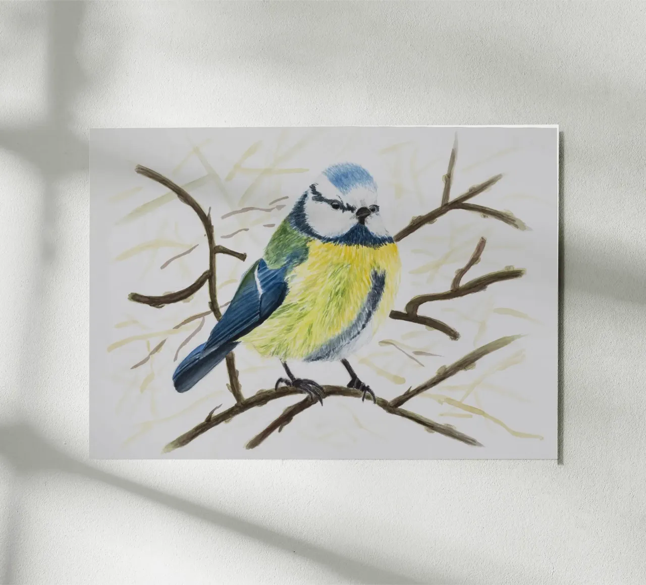 Cinciarella blu alluminio dibond da Barbara Buderath Illustrationen