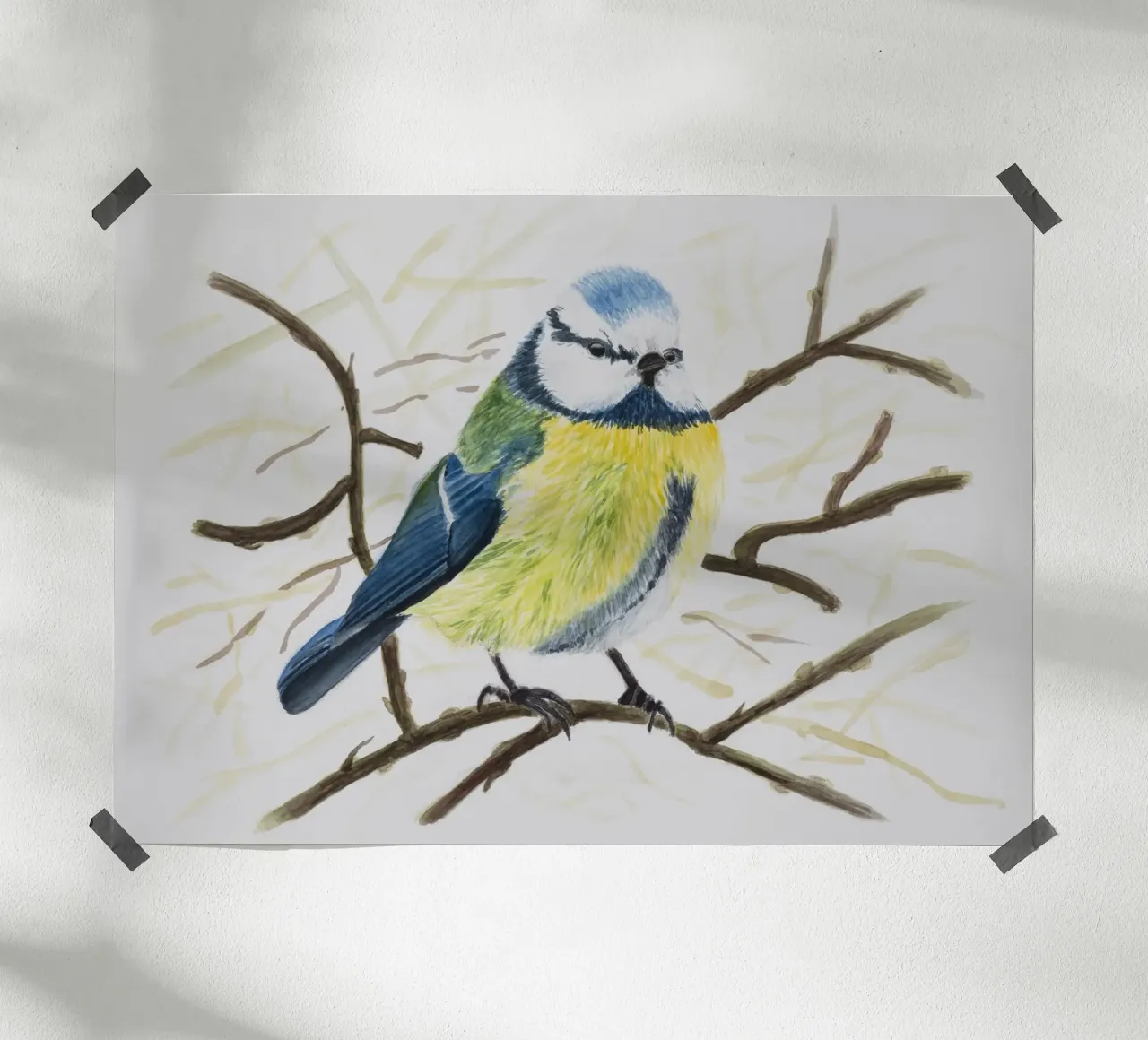 Cinciarella blu carta hahnemühle da Barbara Buderath Illustrationen
