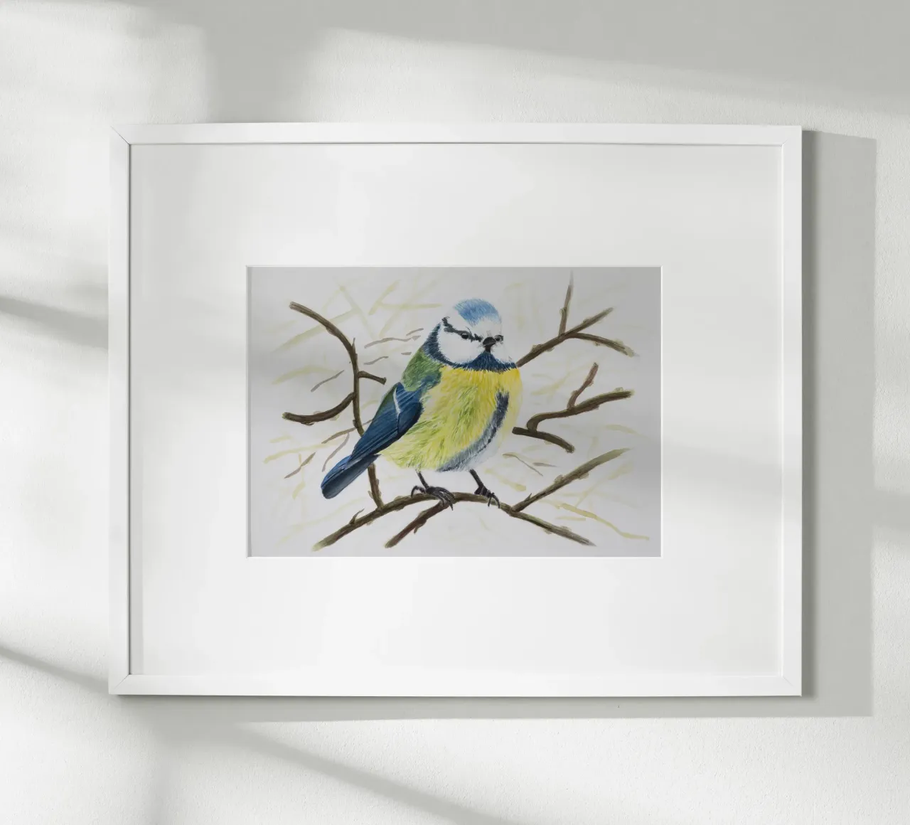 Cinciarella blu poster da Barbara Buderath Illustrationen