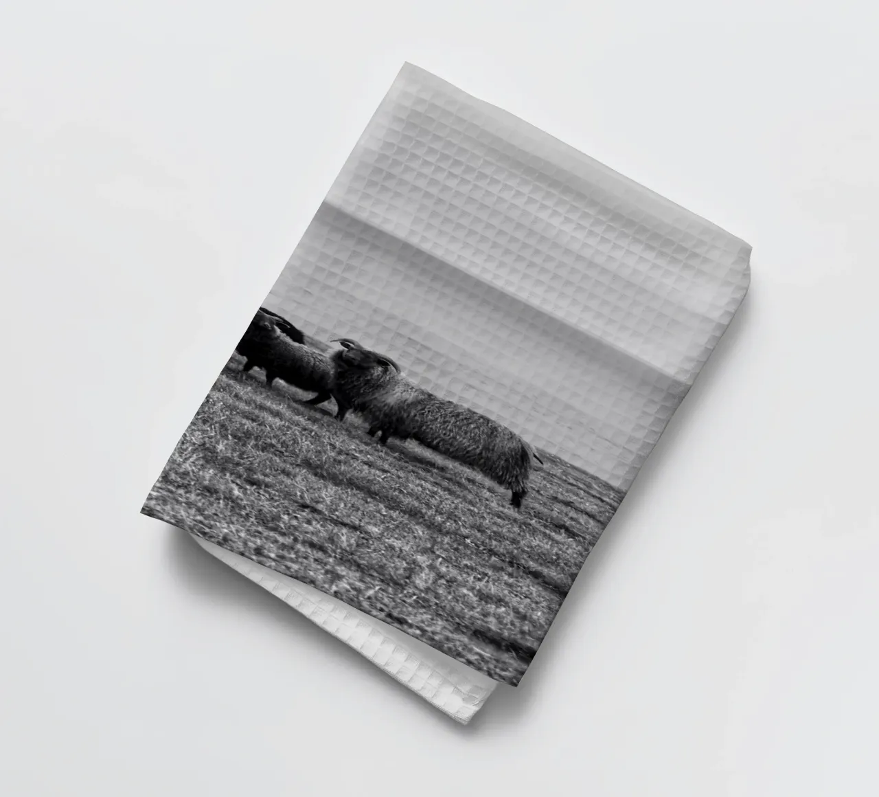 Schapen theedoek van Fjöllart