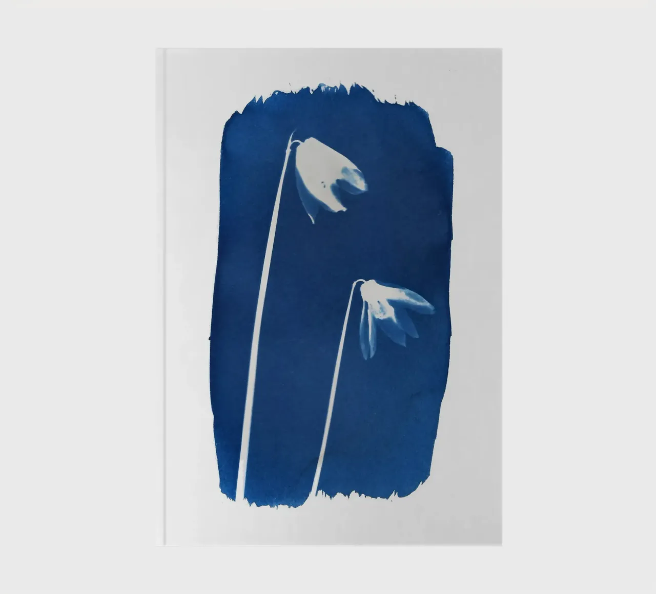 Snowdrops Cyanotype notebook by Kim Hubball Studio
